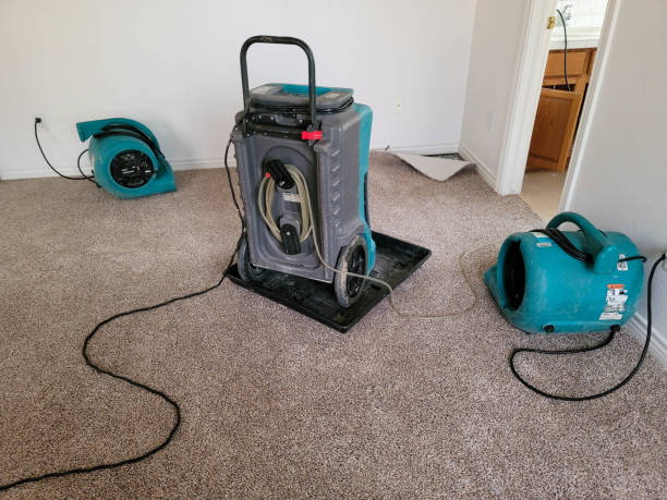 Best Mold removal after water damage  in Uvalde, TX