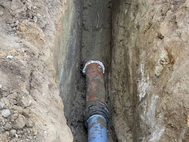 Best Professional water damage repair  in Uvalde, TX