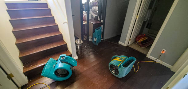 Best Ceiling water damage repair  in Uvalde, TX
