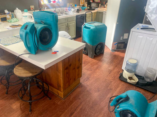  Uvalde, TX Water damage restoration Pros