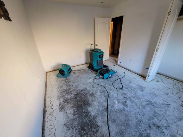 Best Water damage mitigation services  in Uvalde, TX