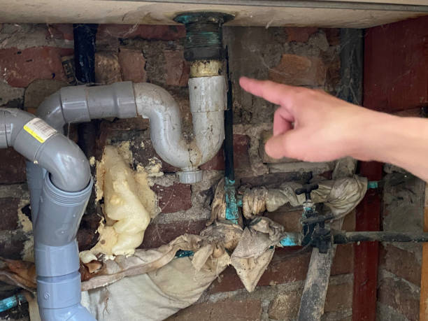 Best Carpet water damage restoration  in Uvalde, TX