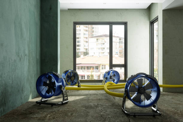 Best Flood restoration services  in Uvalde, TX